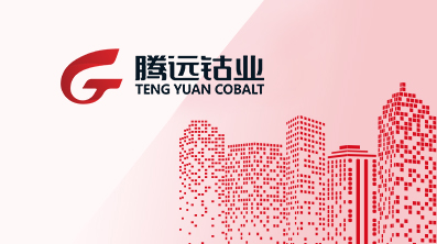 2025年3月环保公示